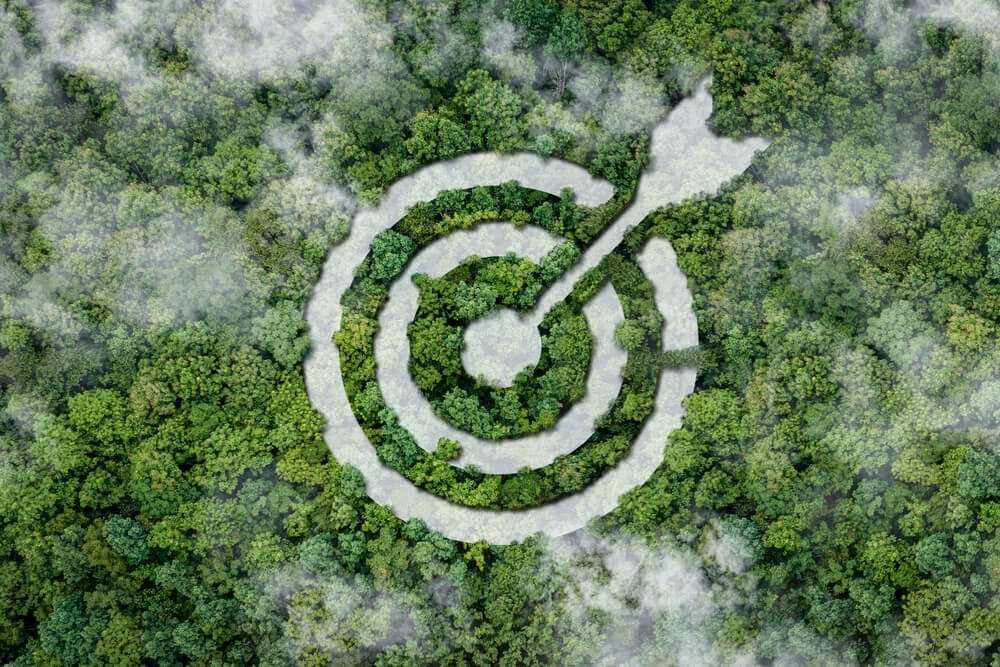 Saudi Vision 2030 Goals - Target over forest representing sustainable development
